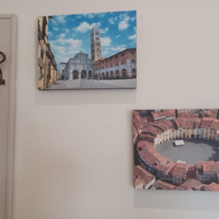 Lucca, Pisa, Firenze, Mare Biciclette Incluse公寓 外观 照片